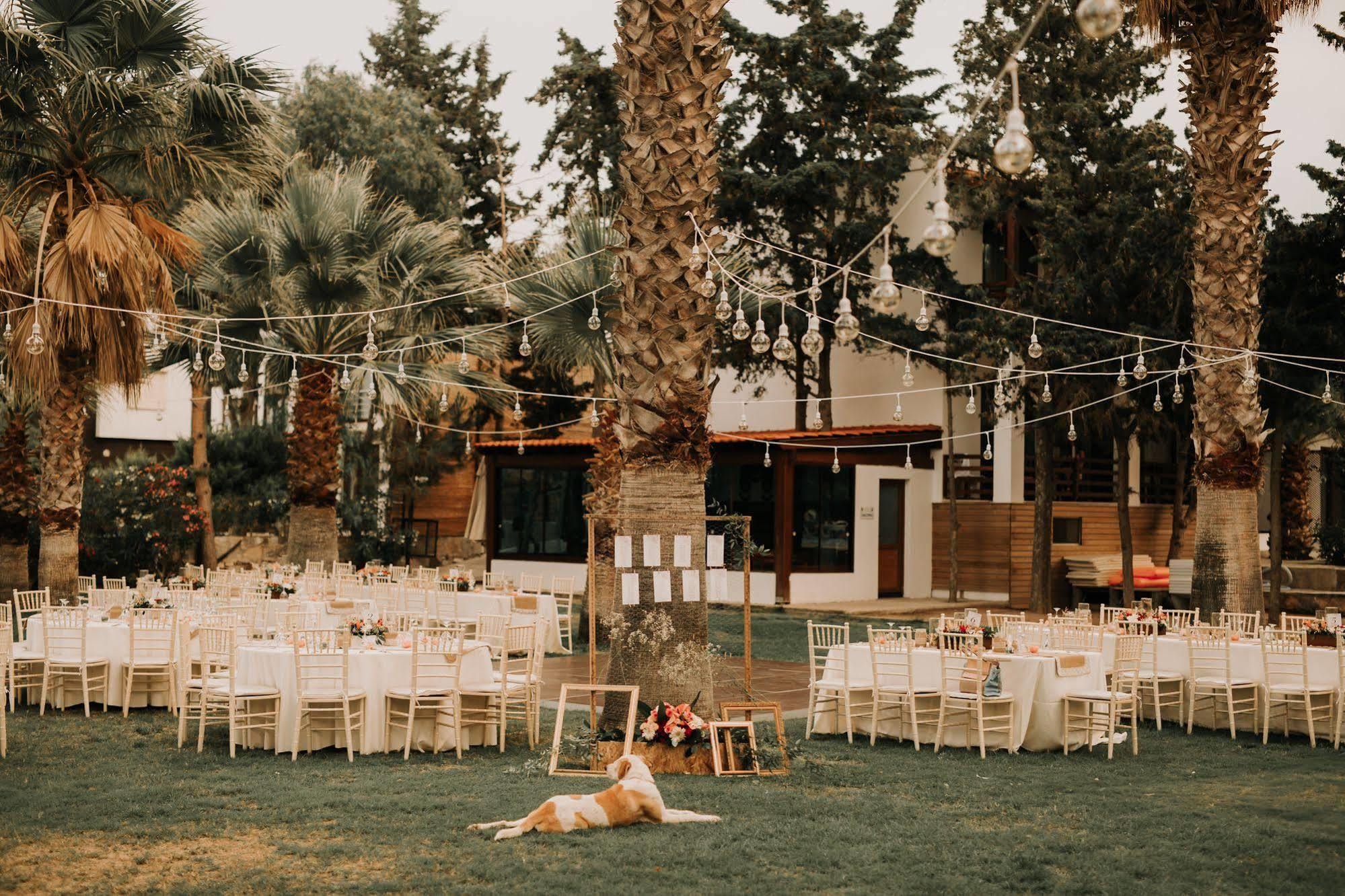 Selvi Beach Hotel Golturkbuku Εξωτερικό φωτογραφία