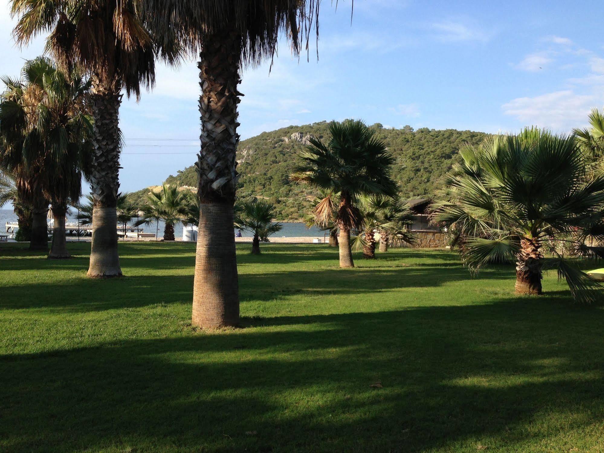 Selvi Beach Hotel Golturkbuku Εξωτερικό φωτογραφία